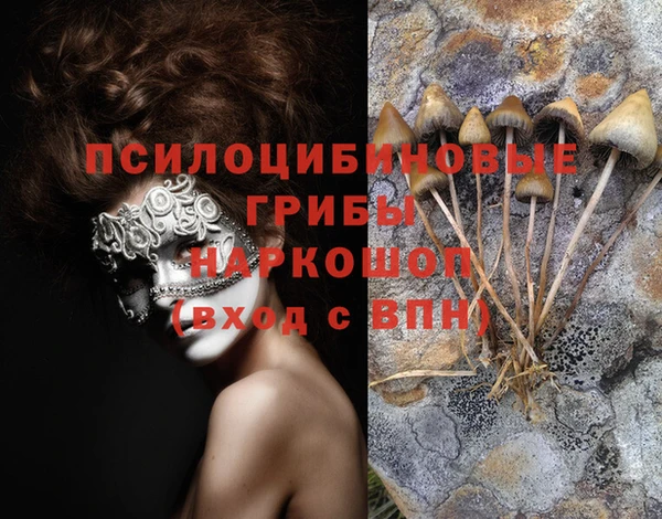ПСИЛОЦИБИНОВЫЕ ГРИБЫ Бердск