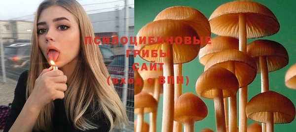 ПСИЛОЦИБИНОВЫЕ ГРИБЫ Бердск