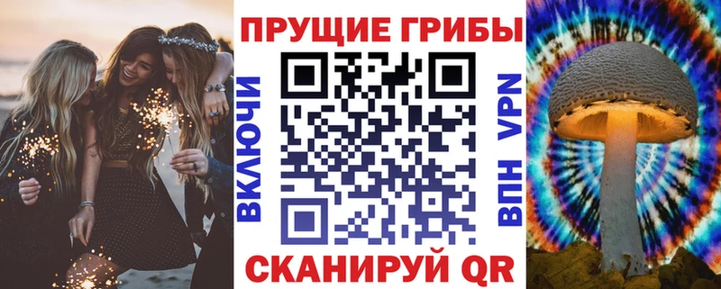 Псилоцибиновые грибы Cubensis  Воронеж 