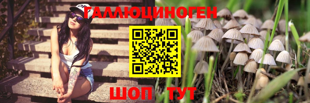 Псилоцибиновые грибы Magic Shrooms Воронеж